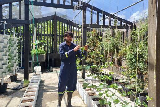 A young man works in the hydroponics garden at the Autistic Society of Trinidad and Tobago headquarters. 