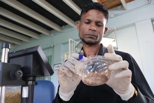 Researcher holds a bowl of maggots