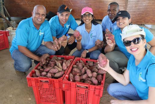 A group of people crowd around a basket full of sweet potato and smile at the camera
