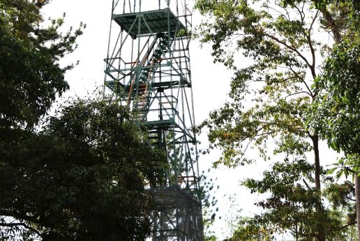 Bioreach Forest Tower