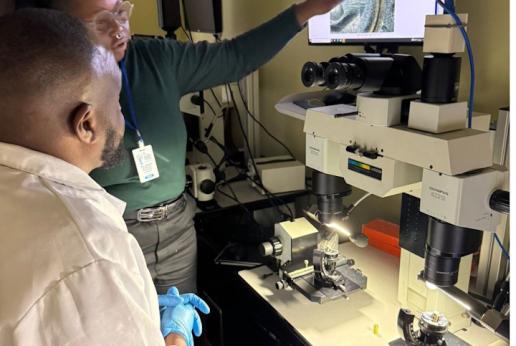 A woman points to a screen where a bullet is being magnified by a high power microscope
