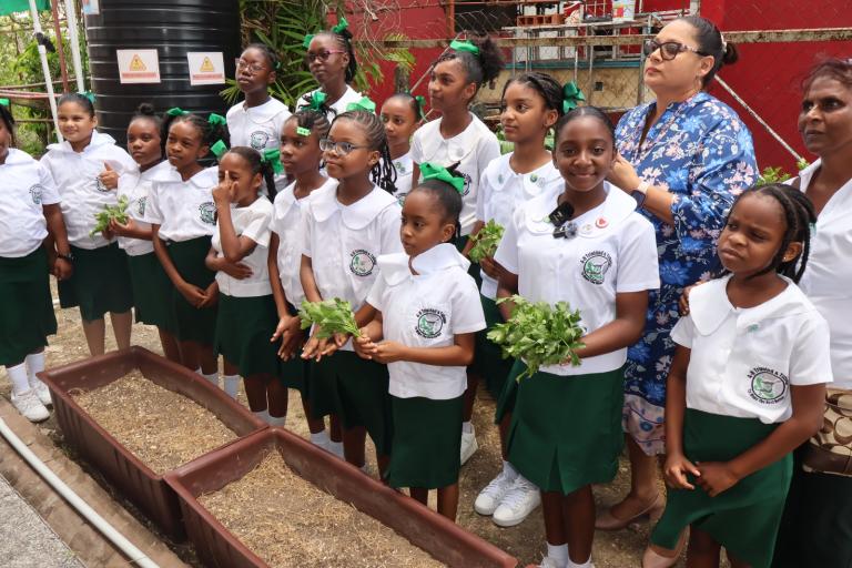 4H School Club shows off plant seedlings